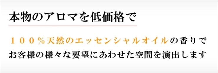 �{���̃A���}��ቿ�i��